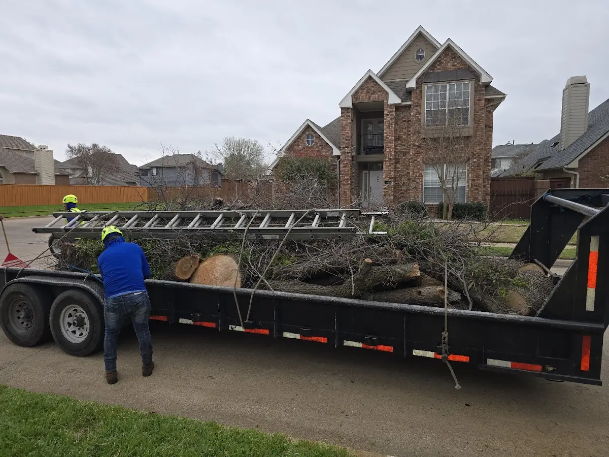 Expert Lot Clearing with proper safety equipment in Palacios